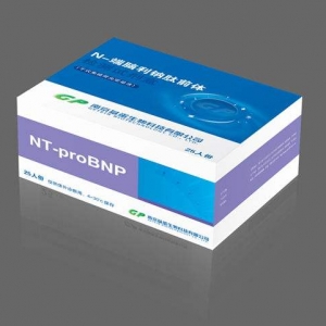 Xc/ĩXcǰwzy(c)ԇע(c)g(sh)ָ(do)ԭt