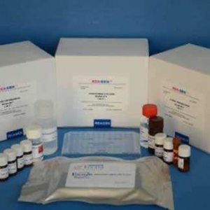 נؙzy(c)ԇע(c)g(sh)ָ(do)ԭt