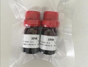 yԇעԼg(sh)ָ(do)ԭt