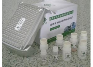 AͪzyԇעԼg(sh)ָ(do)ԭt