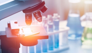 (lin)W(wng)+t(y)l(f)չ